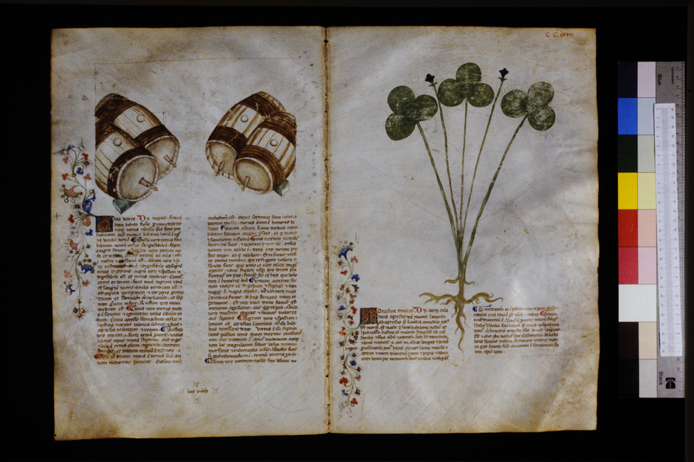 Roma, Biblioteca Casanatense, Ms. 459
icpal_29780
Keywords: Casanatense Ms. 459, Casanatense