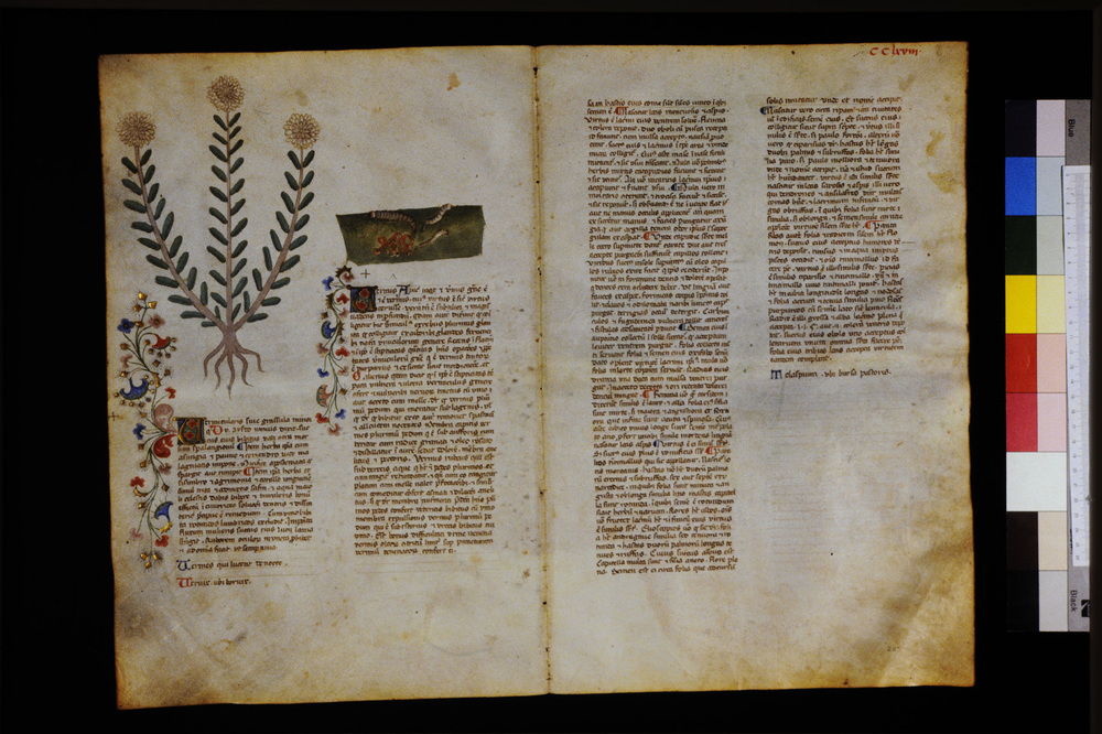 Roma, Biblioteca Casanatense, Ms. 459
icpal_29781
Keywords: Casanatense Ms. 459, Casanatense