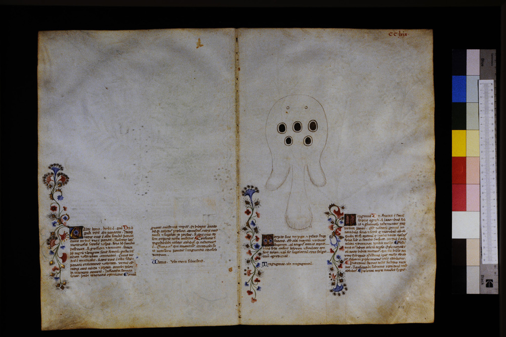 Roma, Biblioteca Casanatense, Ms. 459
icpal_29782
Keywords: Casanatense Ms. 459, Casanatense
