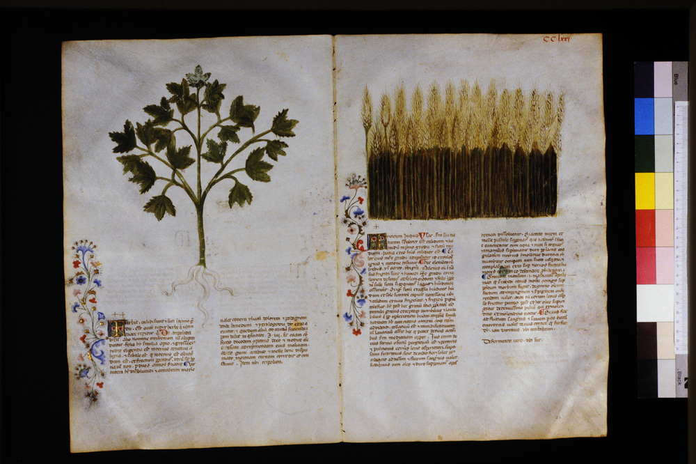 Roma, Biblioteca Casanatense, Ms. 459
icpal_29784
Keywords: Casanatense Ms. 459, Casanatense