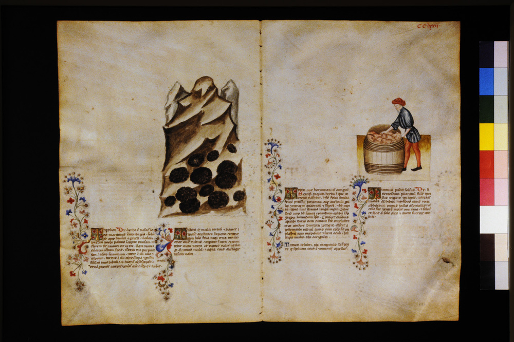 Roma, Biblioteca Casanatense, Ms. 459
icpal_29785
Keywords: Casanatense Ms. 459, Casanatense