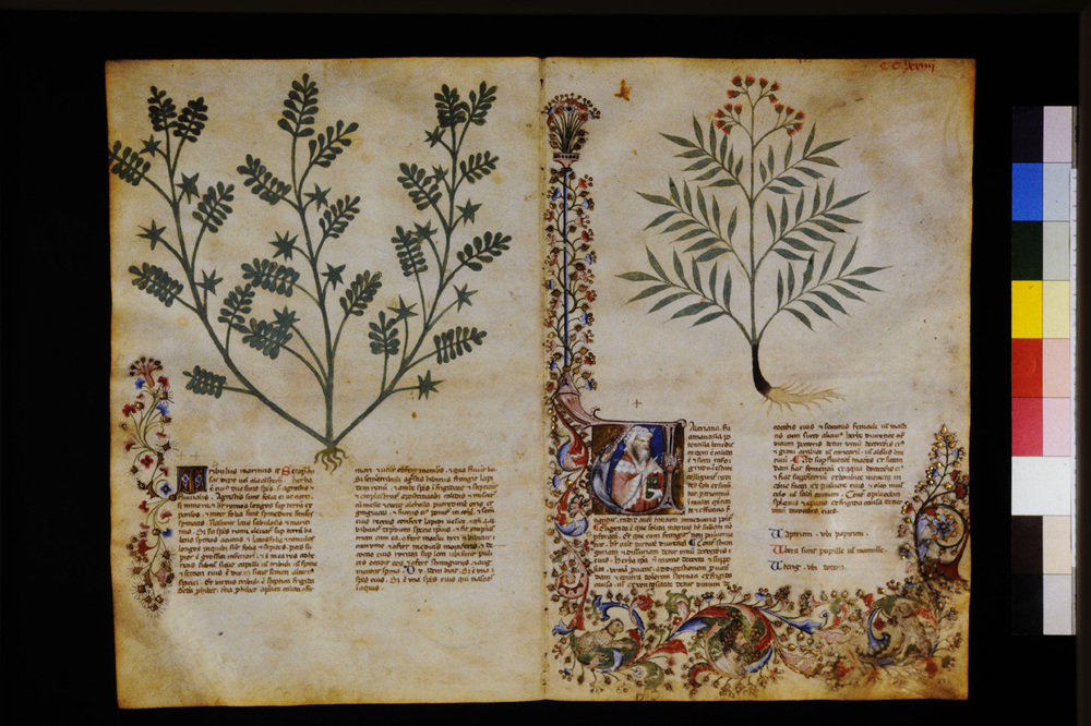 Roma, Biblioteca Casanatense, Ms. 459
icpal_29787
Keywords: Casanatense Ms. 459, Casanatense