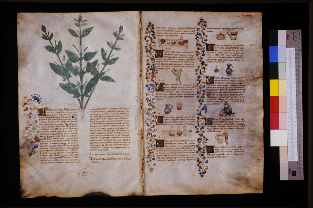 Roma, Biblioteca Casanatense, Ms. 459
icpal_29790
Keywords: Casanatense Ms. 459, Casanatense