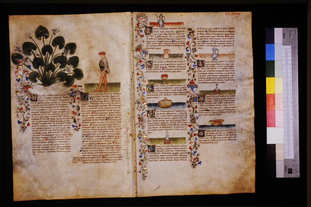 Roma, Biblioteca Casanatense, Ms. 459
icpal_29791
Keywords: Casanatense Ms. 459, Casanatense