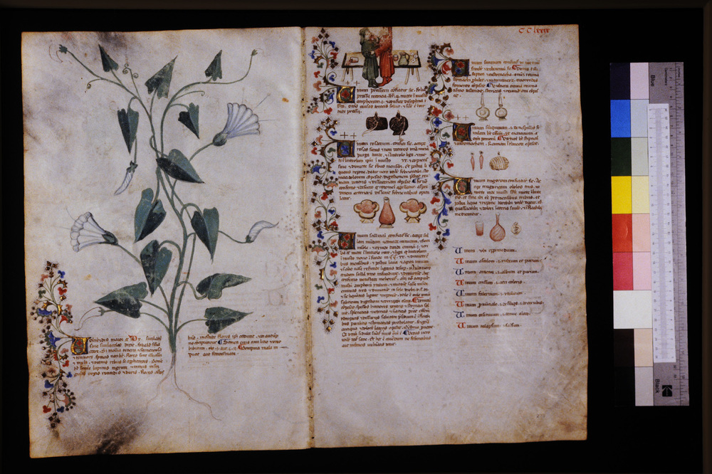 Roma, Biblioteca Casanatense, Ms. 459
icpal_29792
Keywords: Casanatense Ms. 459, Casanatense
