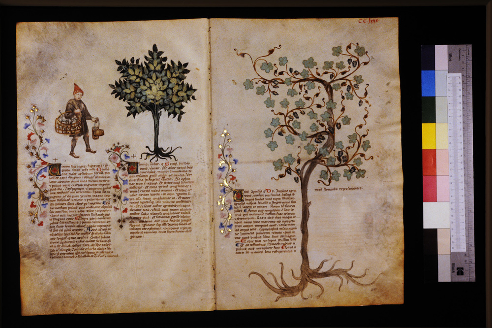 Roma, Biblioteca Casanatense, Ms. 459
icpal_29793
Keywords: Casanatense Ms. 459, Casanatense