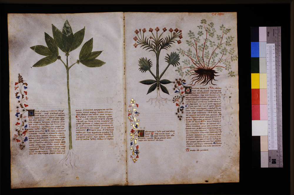 Roma, Biblioteca Casanatense, Ms. 459
icpal_29794
Keywords: Casanatense Ms. 459, Casanatense