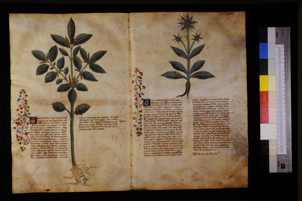 Roma, Biblioteca Casanatense, Ms. 459
icpal_29795
Keywords: Casanatense Ms. 459, Casanatense