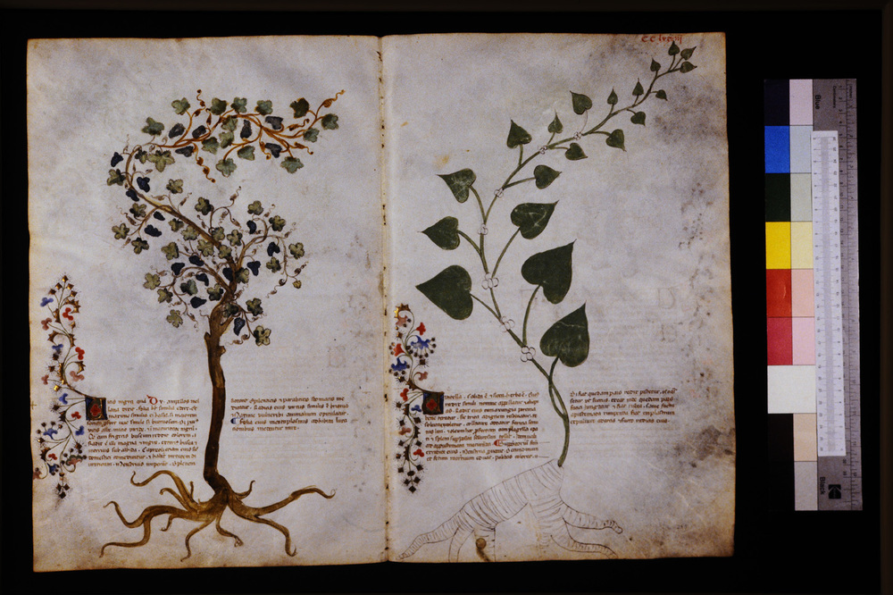 Roma, Biblioteca Casanatense, Ms. 459
icpal_29796
Keywords: Casanatense Ms. 459, Casanatense