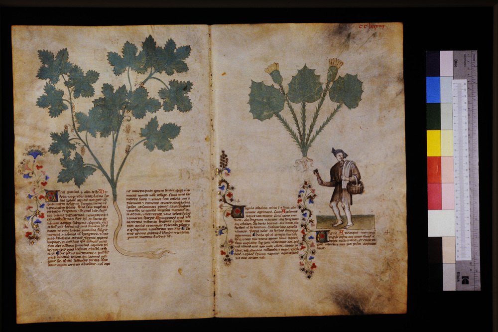 Roma, Biblioteca Casanatense, Ms. 459
icpal_29797
Keywords: Casanatense Ms. 459, Casanatense