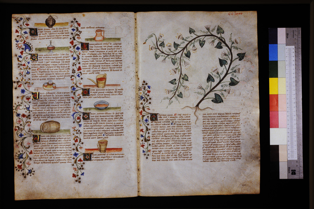 Roma, Biblioteca Casanatense, Ms. 459
icpal_29798
Keywords: Casanatense Ms. 459, Casanatense