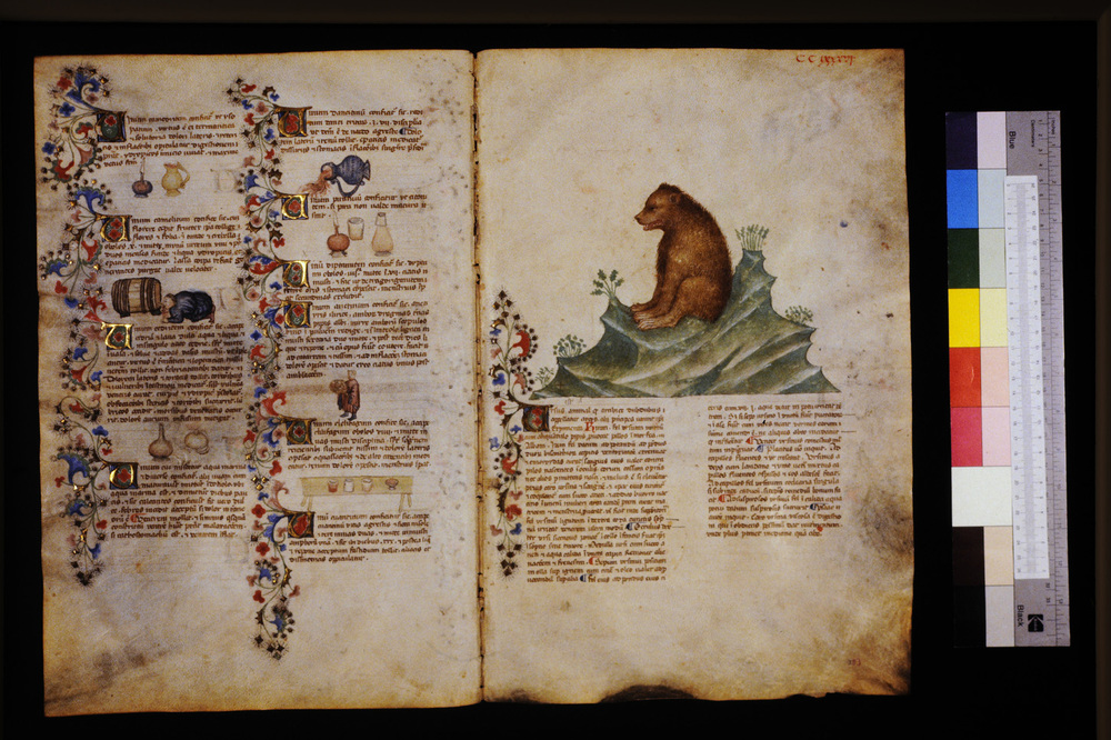Roma, Biblioteca Casanatense, Ms. 459
icpal_29799
Keywords: Casanatense Ms. 459, Casanatense