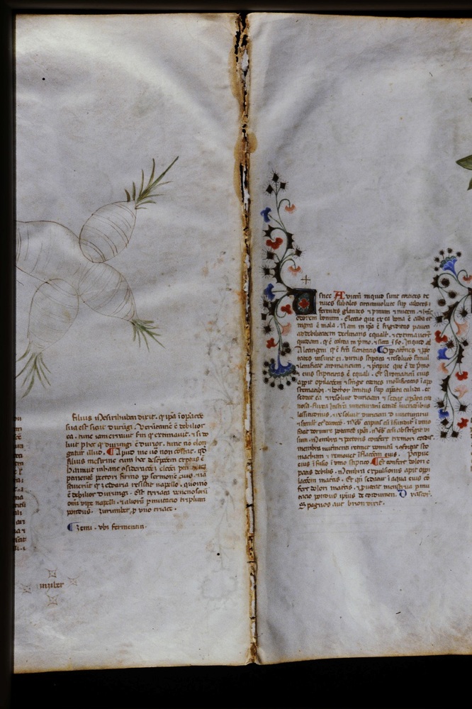 Roma, Biblioteca Casanatense, Ms. 459
icpal_29801
Keywords: Casanatense Ms. 459, Casanatense