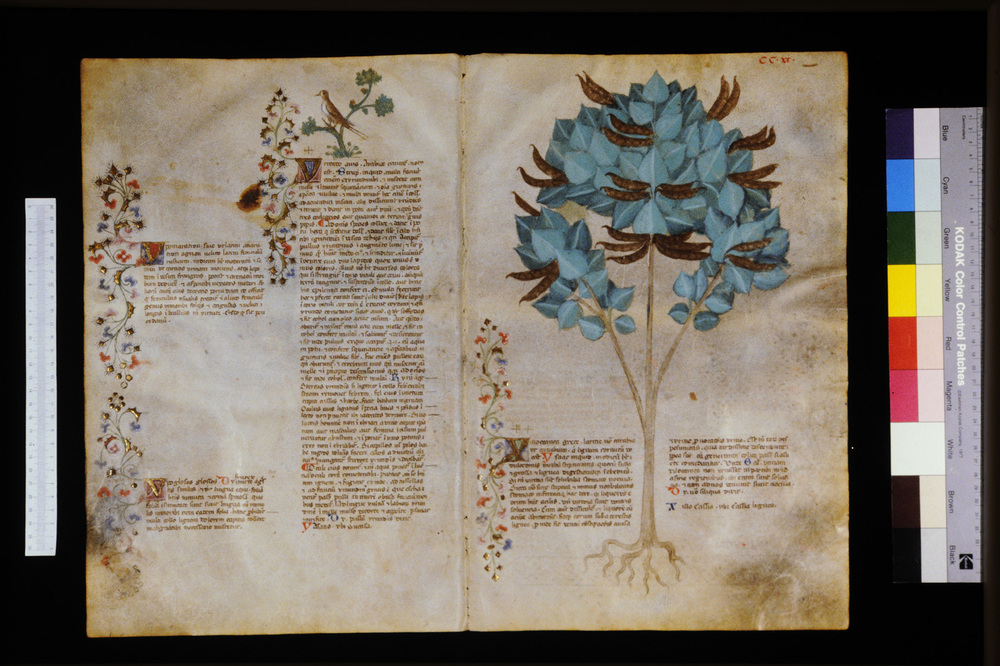 Roma, Biblioteca Casanatense, Ms. 459
icpal_29804
Keywords: Casanatense Ms. 459, Casanatense