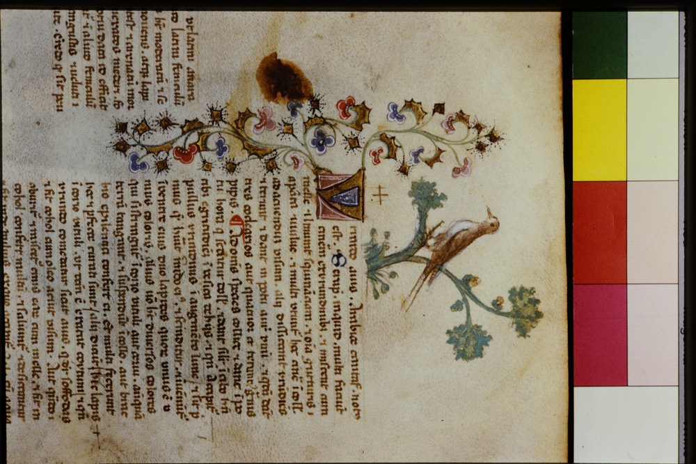 Roma, Biblioteca Casanatense, Ms. 459
icpal_29805
Keywords: Casanatense Ms. 459, Casanatense