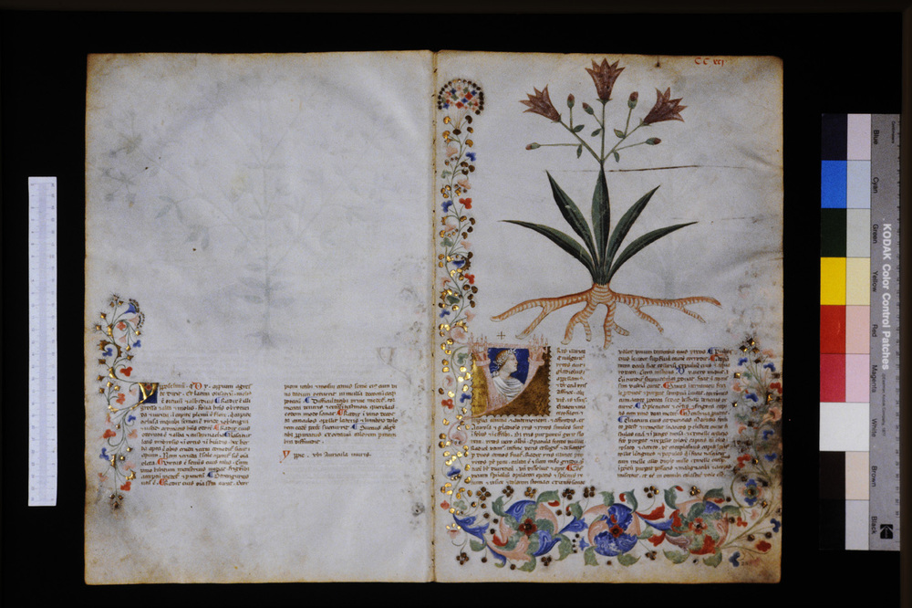 Roma, Biblioteca Casanatense, Ms. 459
icpal_29806
Keywords: Casanatense Ms. 459, Casanatense