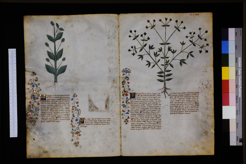 Roma, Biblioteca Casanatense, Ms. 459
icpal_29807
Keywords: Casanatense Ms. 459, Casanatense