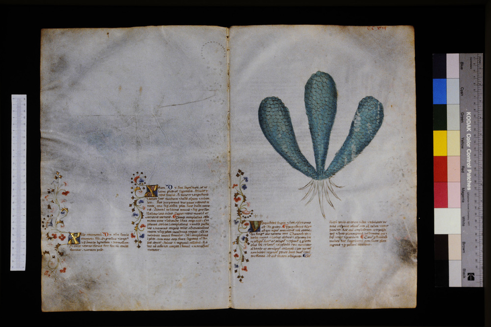 Roma, Biblioteca Casanatense, Ms. 459
icpal_29808
Keywords: Casanatense Ms. 459, Casanatense