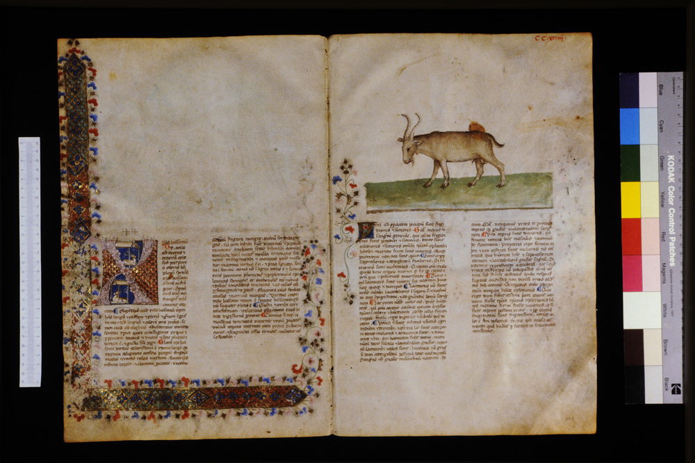 Roma, Biblioteca Casanatense, Ms. 459
icpal_29809
Keywords: Casanatense Ms. 459, Casanatense