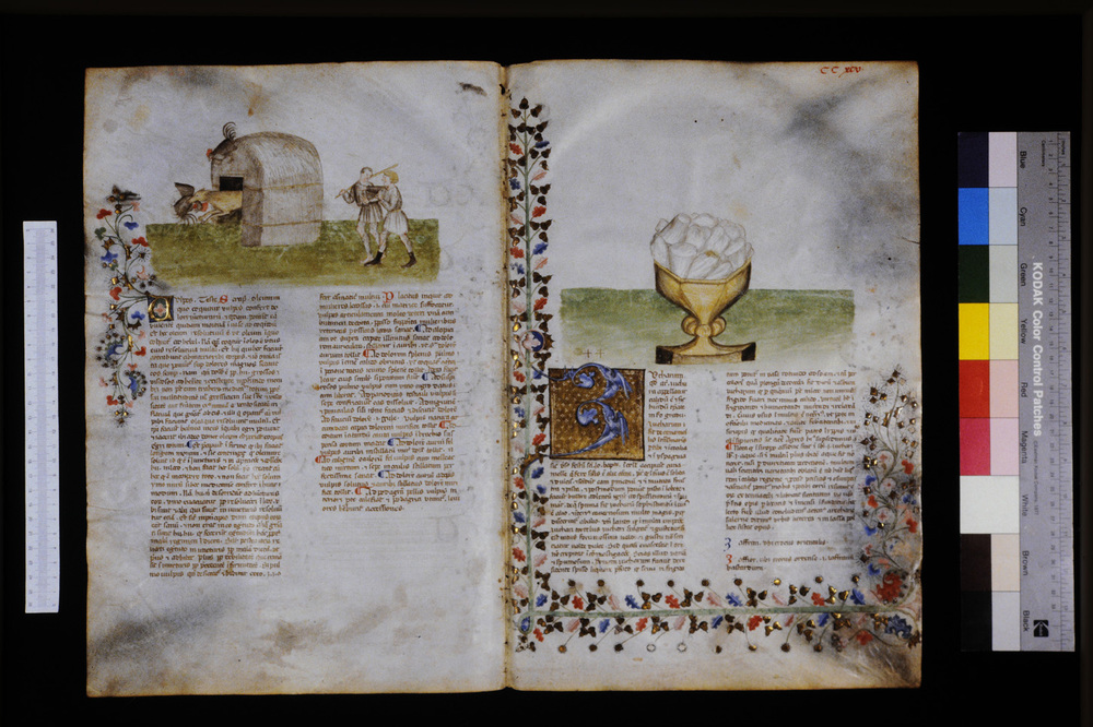 Roma, Biblioteca Casanatense, Ms. 459
icpal_29810
Keywords: Casanatense Ms. 459, Casanatense