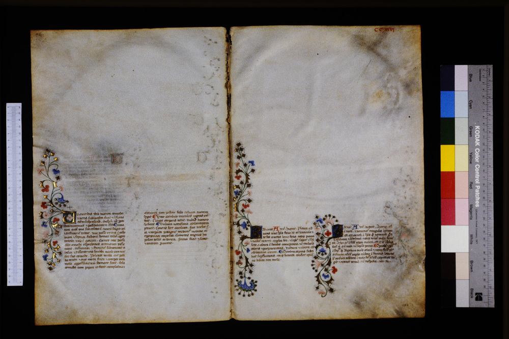 Roma, Biblioteca Casanatense, Ms. 459
icpal_29811
Keywords: Casanatense Ms. 459, Casanatense