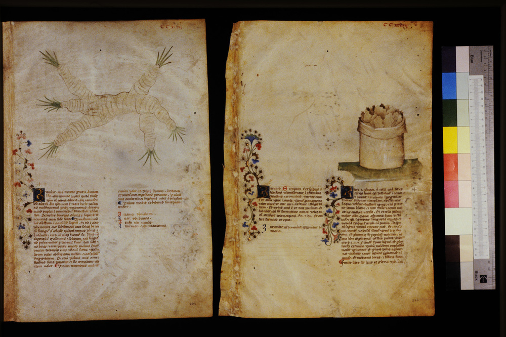 Roma, Biblioteca Casanatense, Ms. 459
icpal_29812
Keywords: Casanatense Ms. 459, Casanatense