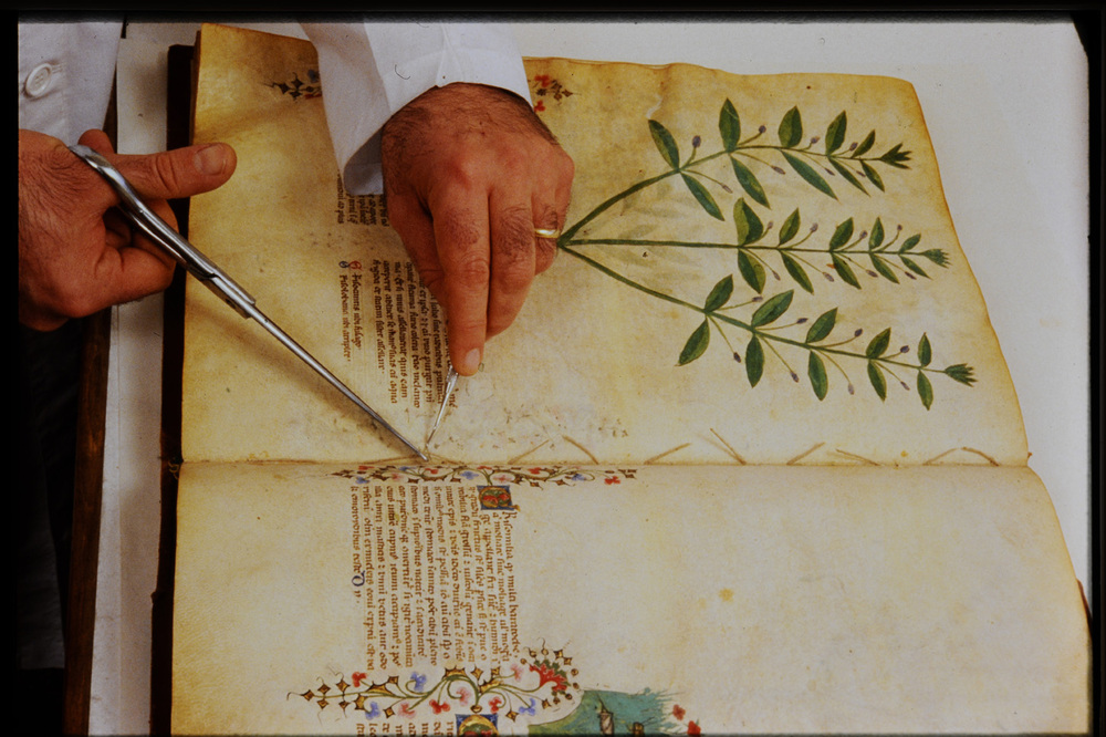 Roma, Biblioteca Casanatense, Ms. 459
icpal_29817
Keywords: Casanatense Ms. 459, Casanatense