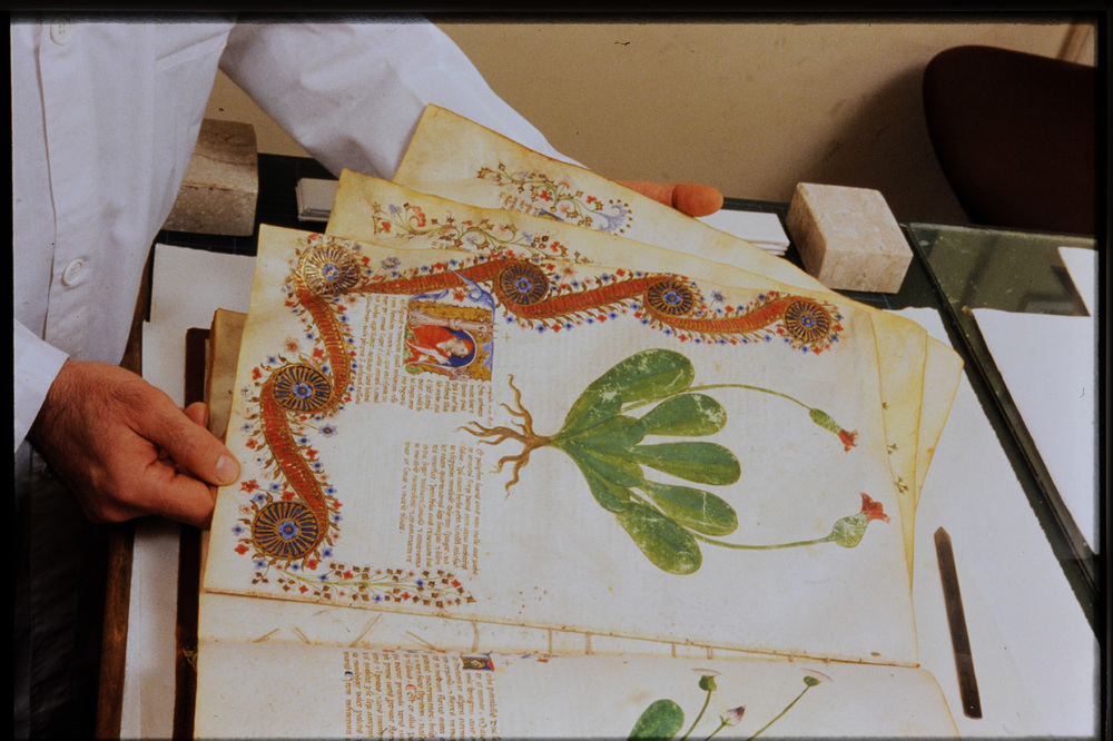 Roma, Biblioteca Casanatense, Ms. 459
icpal_29819
Keywords: Casanatense Ms. 459, Casanatense