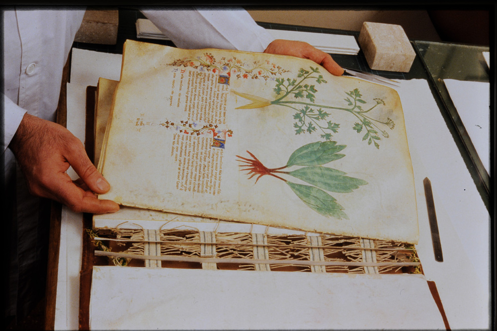 Roma, Biblioteca Casanatense, Ms. 459
icpal_29820
Keywords: Casanatense Ms. 459, Casanatense