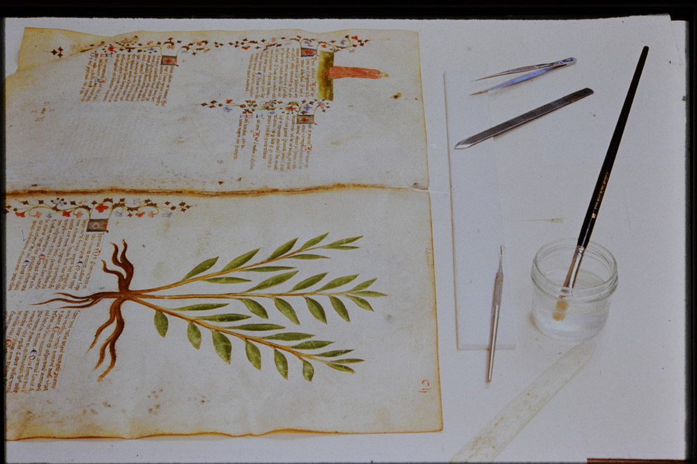 Roma, Biblioteca Casanatense, Ms. 459
icpal_29822
Keywords: Casanatense Ms. 459, Casanatense