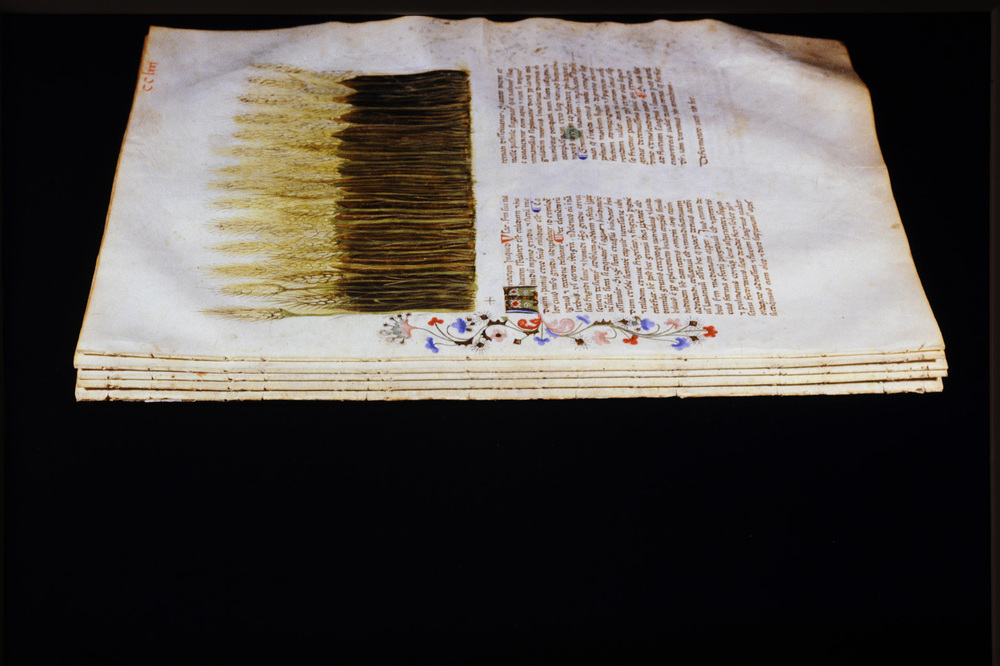 Roma, Biblioteca Casanatense, Ms. 459
icpal_29848
Keywords: Casanatense Ms. 459, Casanatense