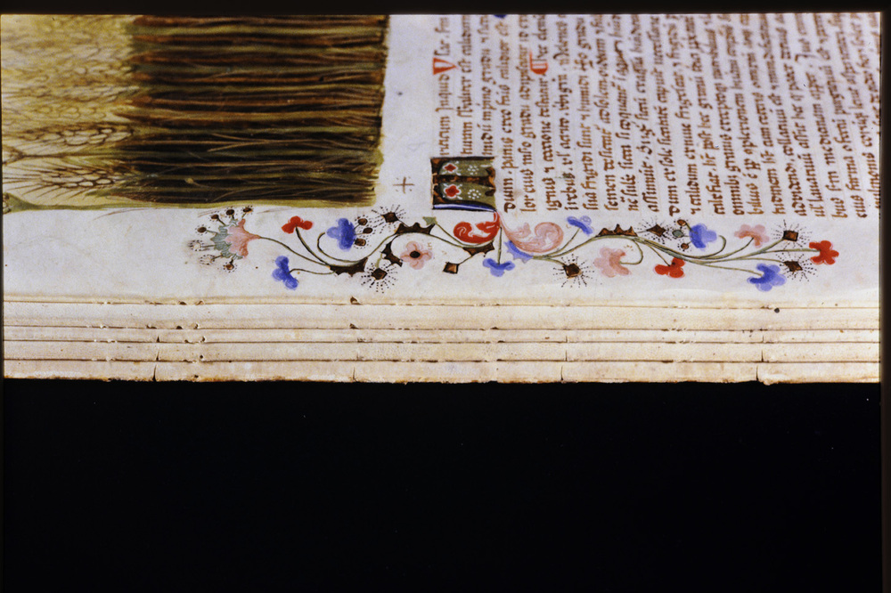 Roma, Biblioteca Casanatense, Ms. 459
icpal_29850
Keywords: Casanatense Ms. 459, Casanatense
