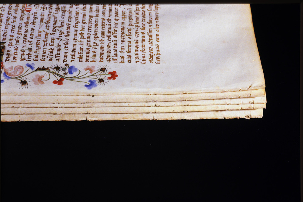 Roma, Biblioteca Casanatense, Ms. 459
icpal_29851
Keywords: Casanatense Ms. 459, Casanatense