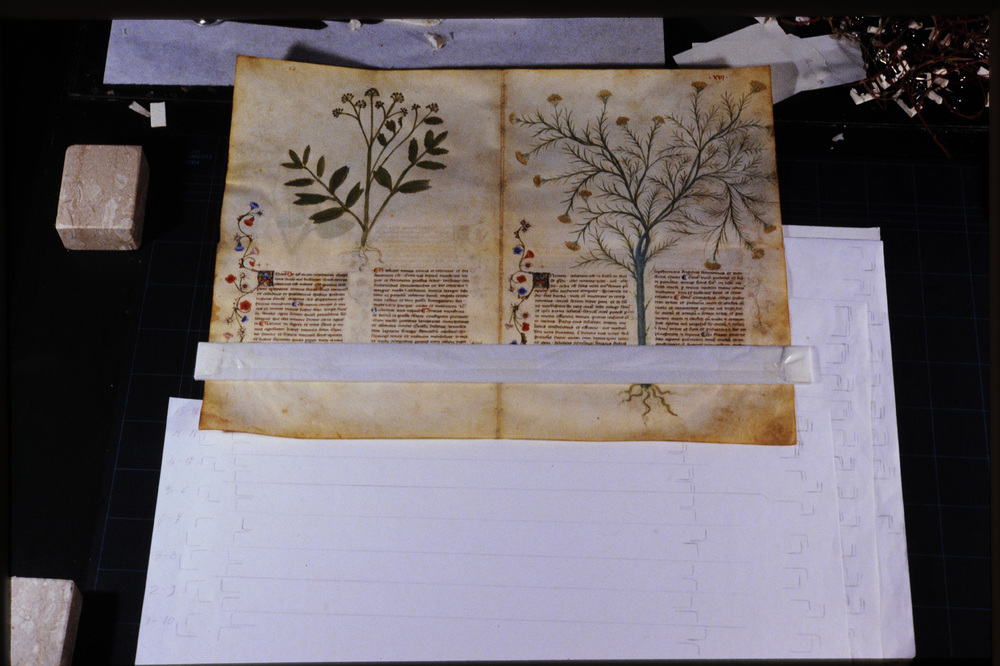 Roma, Biblioteca Casanatense, Ms. 459
icpal_29852
Keywords: Casanatense Ms. 459, Casanatense
