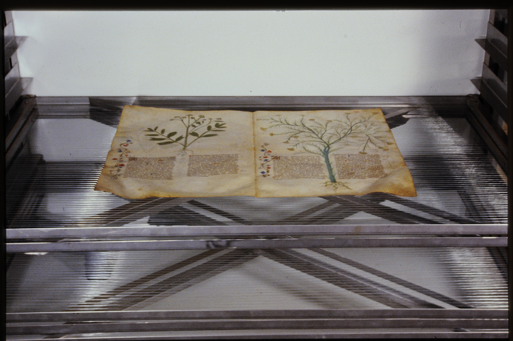 Roma, Biblioteca Casanatense, Ms. 459
icpal_29858
Keywords: Casanatense Ms. 459, Casanatense