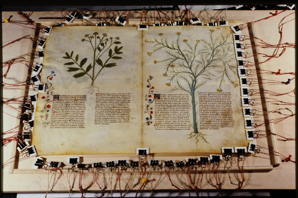 Roma, Biblioteca Casanatense, Ms. 459
icpal_29861
Keywords: Casanatense Ms. 459, Casanatense