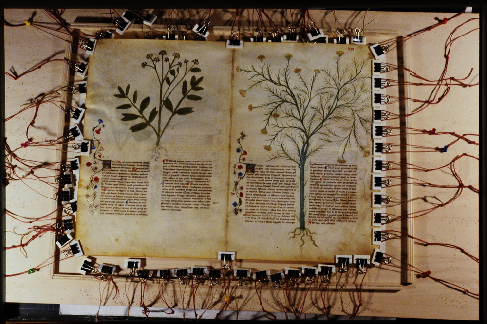 Roma, Biblioteca Casanatense, Ms. 459
icpal_29862
Keywords: Casanatense Ms. 459, Casanatense