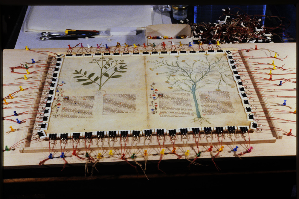 Roma, Biblioteca Casanatense, Ms. 459
icpal_29863
Keywords: Casanatense Ms. 459, Casanatense