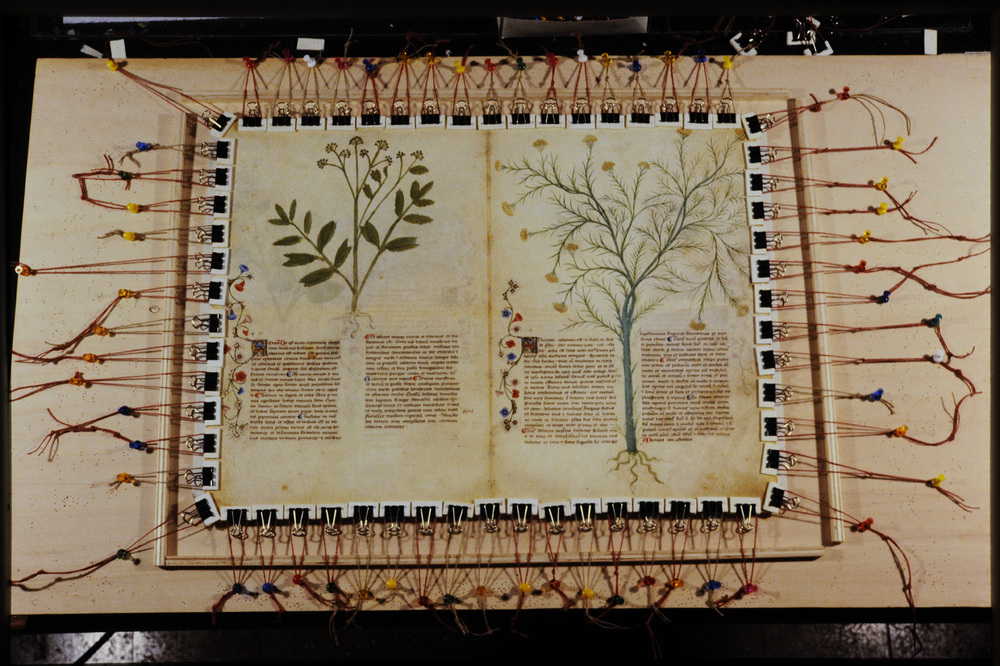 Roma, Biblioteca Casanatense, Ms. 459
icpal_29864
Keywords: Casanatense Ms. 459, Casanatense