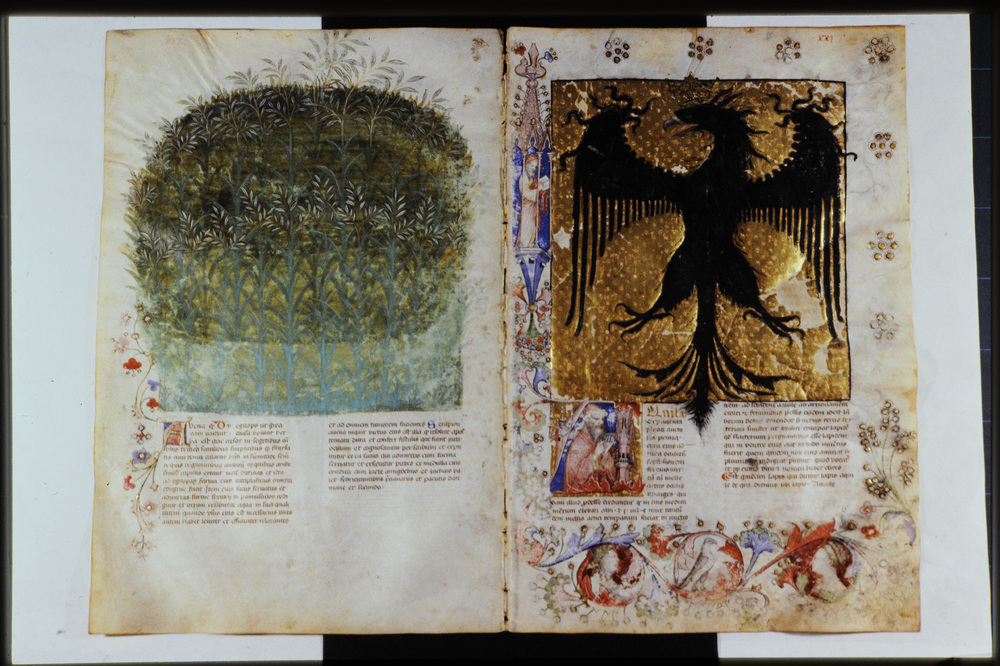 Roma, Biblioteca Casanatense, Ms. 459
icpal_29883
Keywords: Casanatense Ms. 459, Casanatense