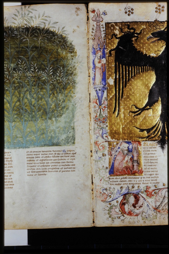 Roma, Biblioteca Casanatense, Ms. 459
icpal_29884
Keywords: Casanatense Ms. 459, Casanatense
