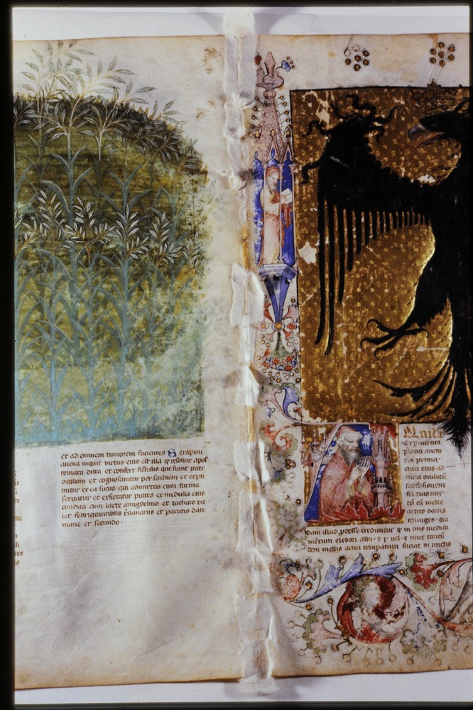 Roma, Biblioteca Casanatense, Ms. 459
icpal_29887
Keywords: Casanatense Ms. 459, Casanatense