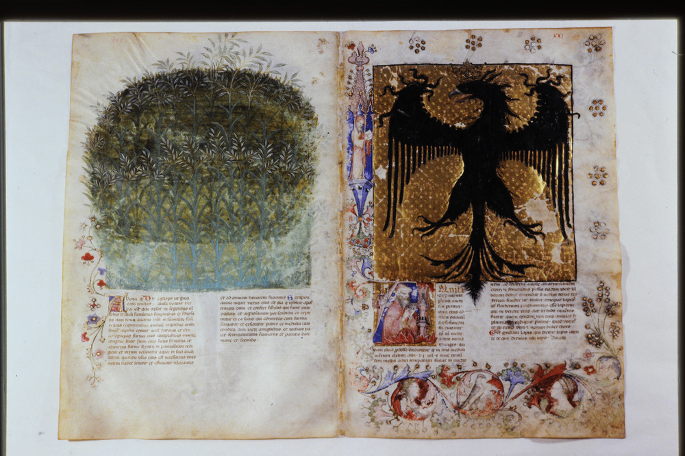 Roma, Biblioteca Casanatense, Ms. 459
icpal_29889
Keywords: Casanatense Ms. 459, Casanatense