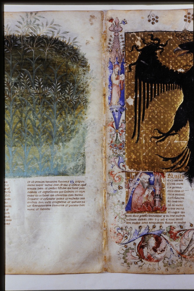 Roma, Biblioteca Casanatense, Ms. 459
icpal_29890
Keywords: Casanatense Ms. 459, Casanatense
