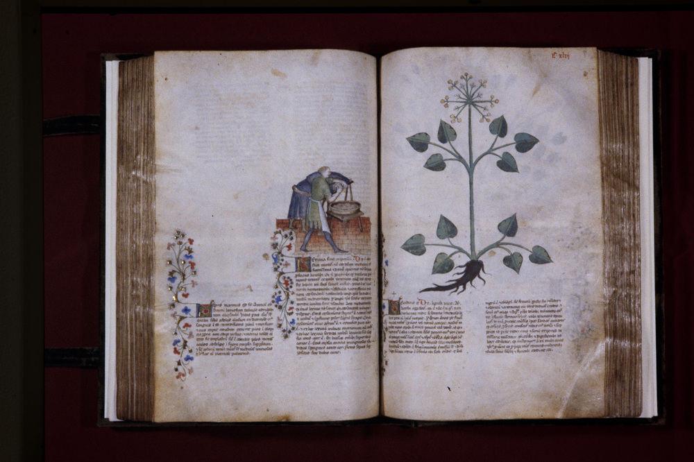 Roma, Biblioteca Casanatense, Ms. 459
icpal_29953
Keywords: Casanatense Ms. 459, Casanatense