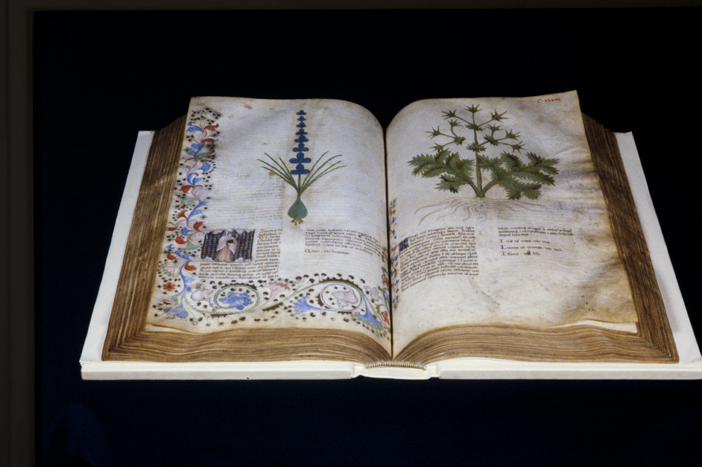 Roma, Biblioteca Casanatense, Ms. 459
icpal_29955
Keywords: Casanatense Ms. 459, Casanatense