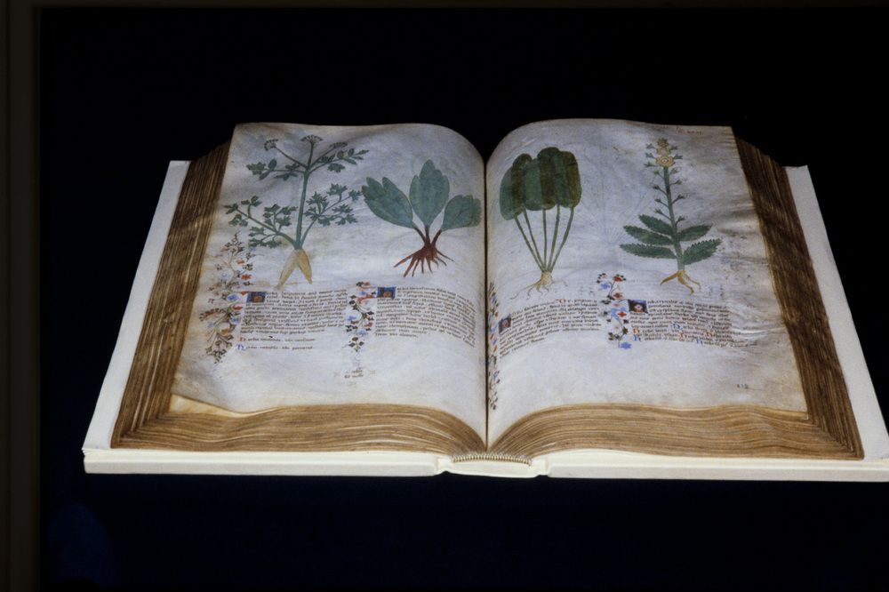 Roma, Biblioteca Casanatense, Ms. 459
icpal_29956
Keywords: Casanatense Ms. 459, Casanatense