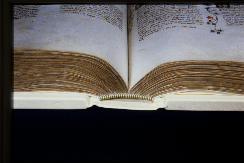 Roma, Biblioteca Casanatense, Ms. 459
icpal_29957
Keywords: Casanatense Ms. 459, Casanatense