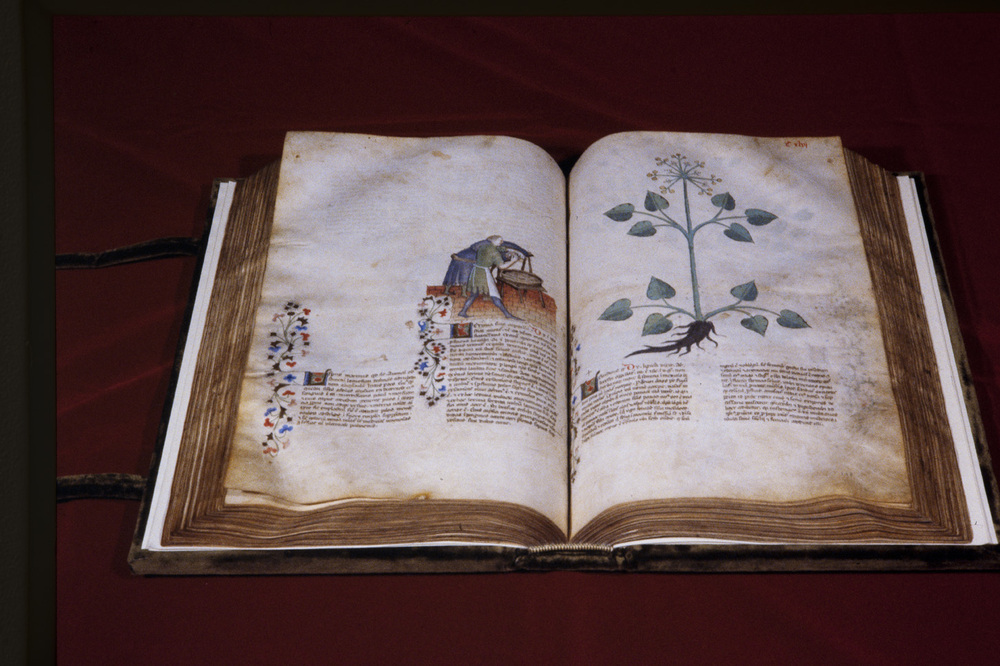 Roma, Biblioteca Casanatense, Ms. 459
icpal_29958
Keywords: Casanatense Ms. 459, Casanatense