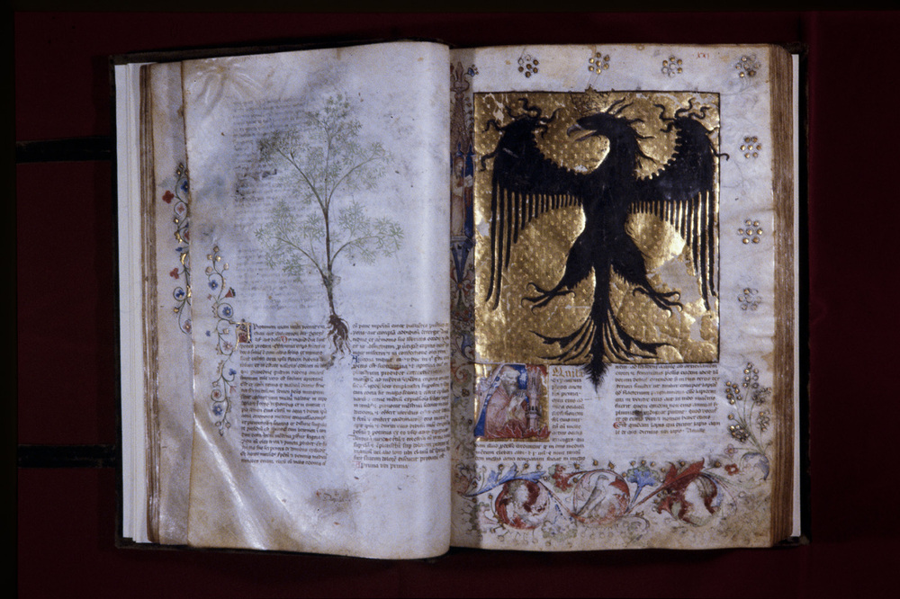 Roma, Biblioteca Casanatense, Ms. 459
icpal_29973
Keywords: Casanatense Ms. 459, Casanatense